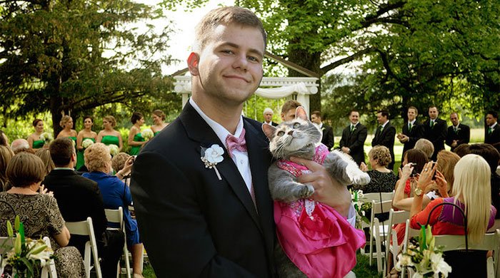Fellow Couldn’t Find A Date For Prom So He Took His Cat Instead