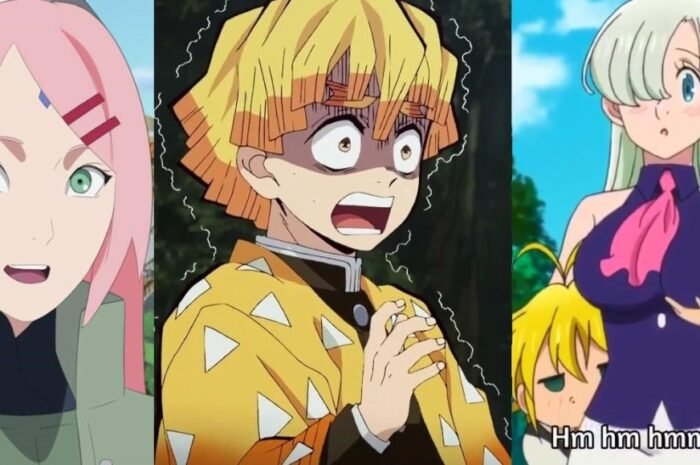 8 Anime Characters Who Seem Useless (But Are Actually Not)