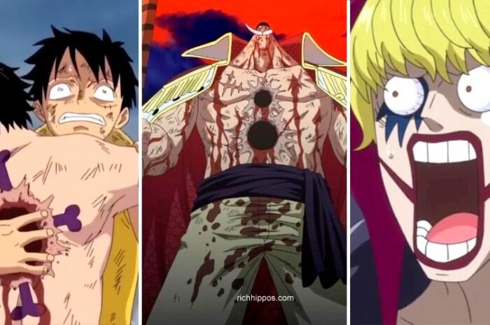 10 Most Saddest Deaths In One Piece