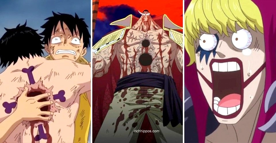 10 Most Saddest Deaths In One Piece - Richhippos