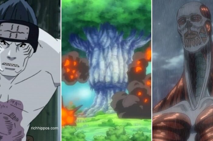 5 Anime Characters Who Could Survive A Buster Call (One Piece) And  5 Who Couldn’t