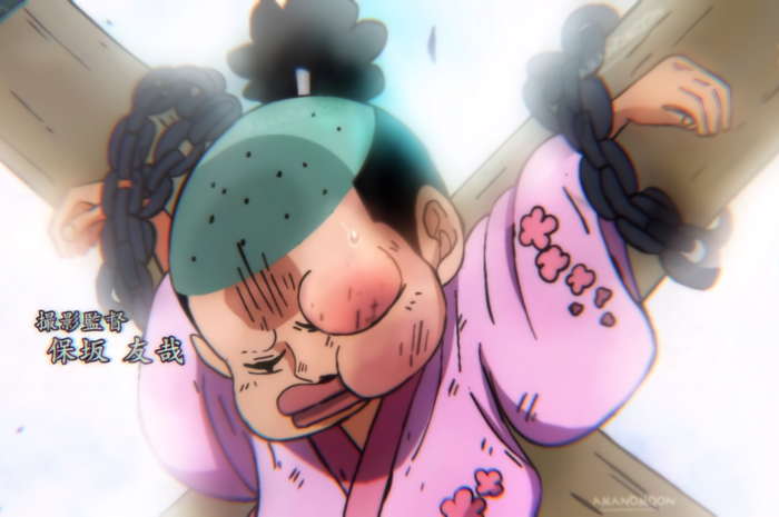 10 Important Characters Who Don’t Actually Fight In One Piece