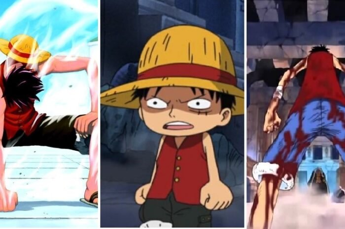 One Piece: Luffy Has Proved Much Time That He Was A Genius