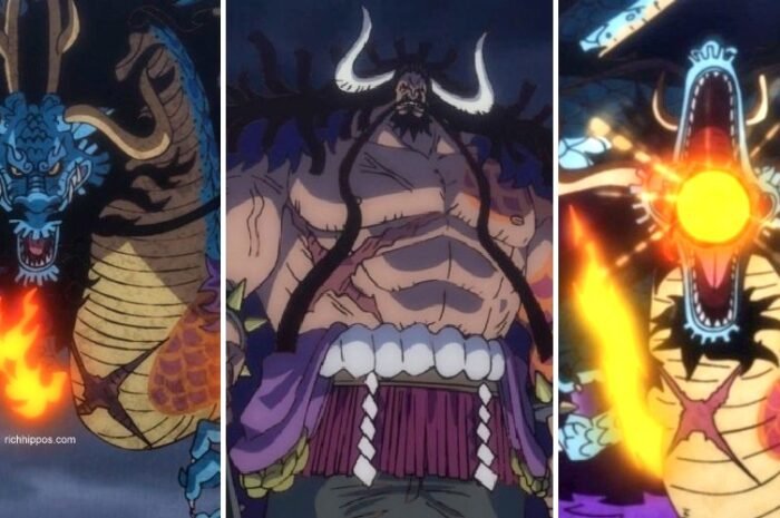 What is Kaido’s Devil Fruit? & 8 Other Questions