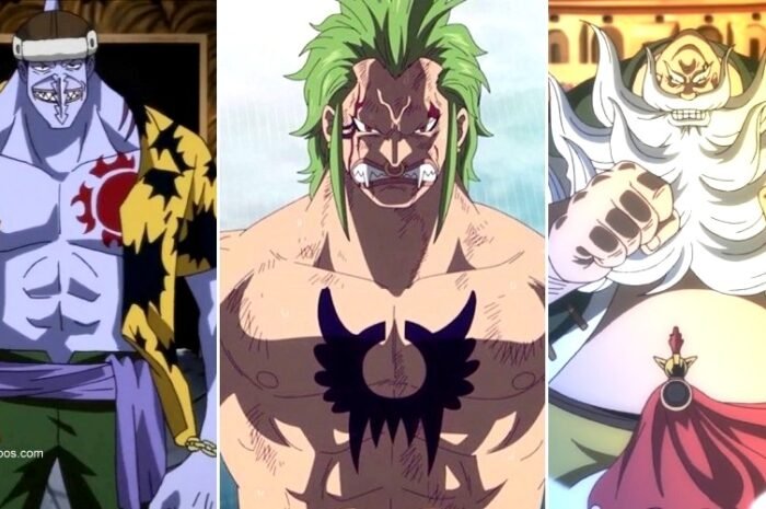 One Piece: 8 Ranked Least Respected Pirates In The Series