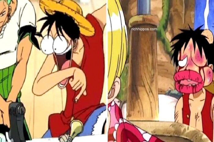 One Piece: 8 Times Luffy Was Disrespected By His Own Crew