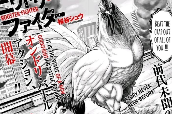 A Manga Exist Where Chicken Is The Main Character