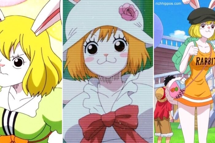 One Piece: Is Carrot Destined to Be the Next Straw Hat?
