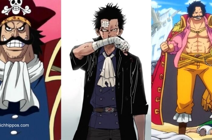 “The Golden Age of Piracy Lives On Through One Piece”