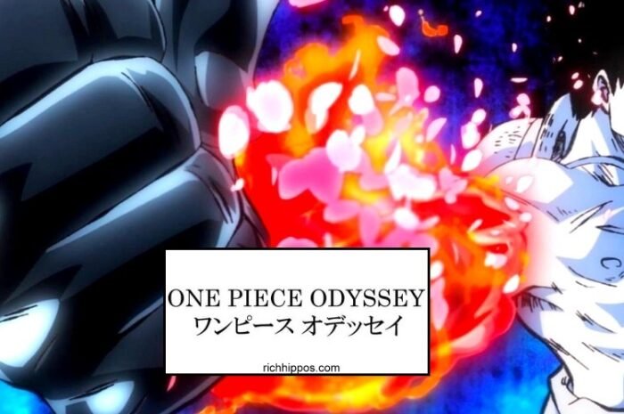 One Piece Has Secured a Mysterious Trademark