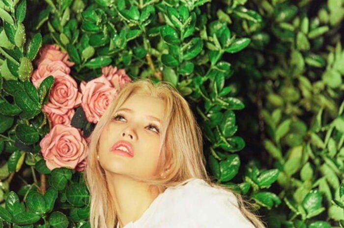 Comeback’ Jeon So-Yeon, self-composed restaurant ‘Windy’ How to enjoy it more deliciously