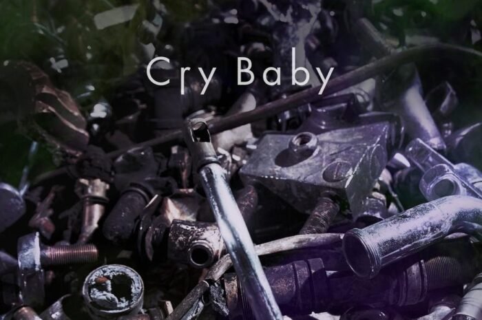 Billboard Official Hige Dandism “Cry Baby” Anime Leader Return, Yama “King Ranking” Ending Song Rise