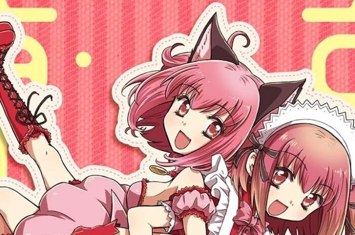 The first PV & new cast of the anime ‘Tokyo Mew Mew’ has been announced. Yuma Uchida as Aoyama, Yuichi Nakamura as Shirokane, etc.