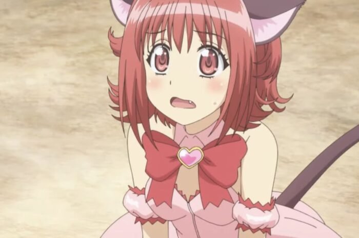 The author of ‘Tokyo Mew Mew’ died, and the voice actor mourned for the encounter of the work ‘It is an irreplaceable treasure forever.’