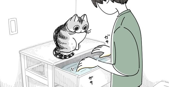 I want to get a cat caught! ?? 100,000 people sympathize with the depiction of liquid cats. ‘This situation is common w.’