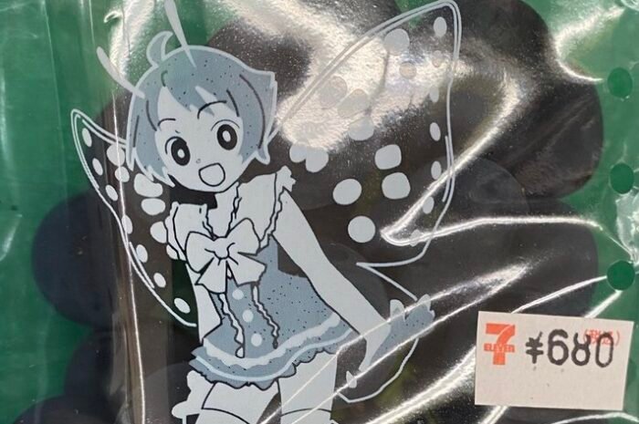 At first glance, a girl is a man !? Shimotsuma City’s image character ‘Simon-chan’ is talked about as being too cute.