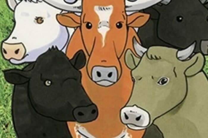 ‘Hagaren’ Hiromu Arakawa’s essay cartoon ‘Peasant noble’ animation decision