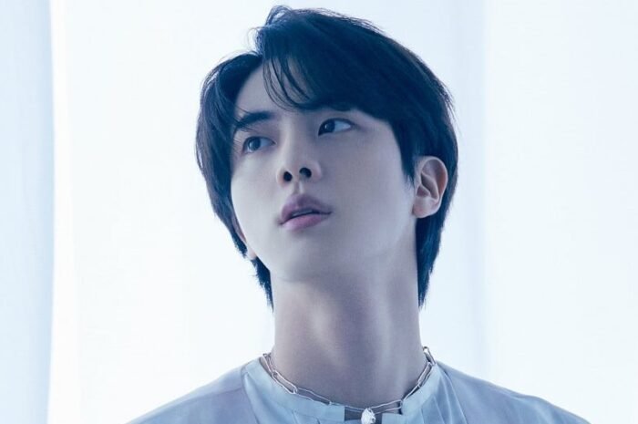 BTS Jin The Astronaut goes straight into popularity