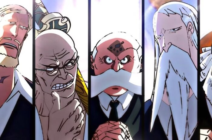 The Five Elders In One Piece Reveals