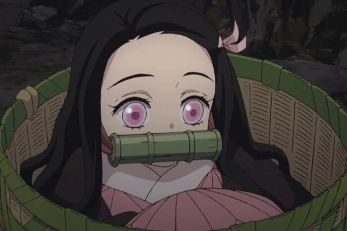 ‘Demon Slayer: Kimetsu no Yaiba’ Shinobu Kocho warns Giyu Tomioka and gets a significant response: ‘As expected, there aren’t enough words.’ Scene cut released