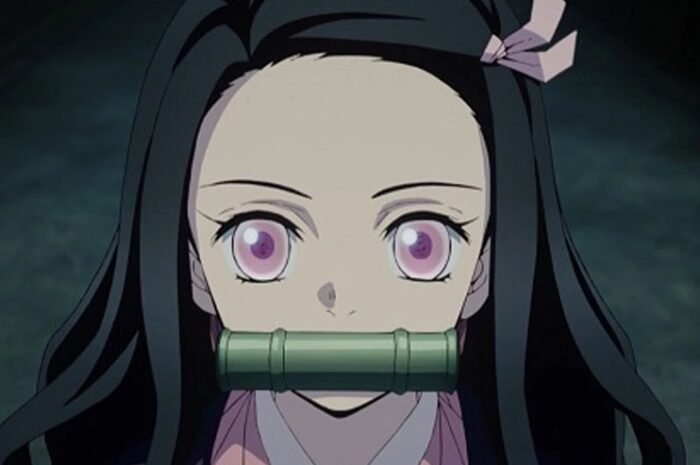 ‘Demon Slayer: Kimetsu no Yaiba’ Why was the lone swordsman, Tokito Muichiro, able to ‘smile’? An ‘important scene’ depicted only in the anime
