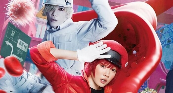 The Film ‘Cells at Work!’ Gets Its First Terrestrial TV Broadcast! The Cells’ Hottest Battle Airs in Full on Friday Road Show