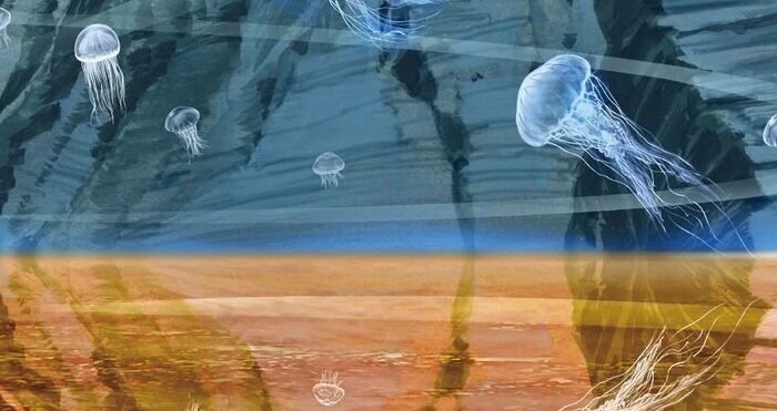 Asia’s Largest Animation Film Festival Opens in Niigata 40 Films from Around the World, New Mid-Length Category Debuts