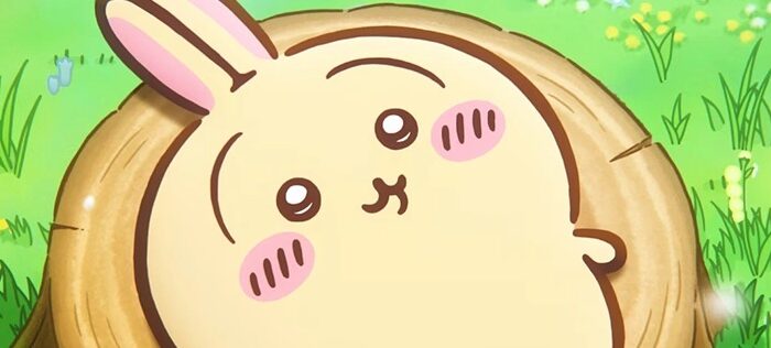 ‘Anime Chiikawa Secret Encyclopedia’ Mini Picture Book Now Available, Introducing Characters, Food, and the Adorable World of Chiikawa
