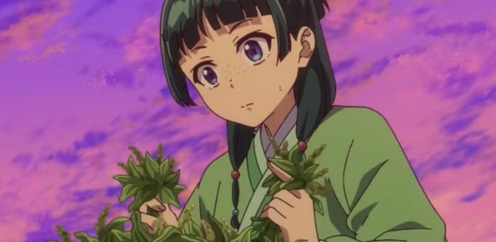 ‘I Just Failed Like a Normal Person, Lol’: Maomao’s Complete Lack of Interest in Anything but Poison and Medicine Leads to a Hilarious Exam Failure in The Apothecary Diaries